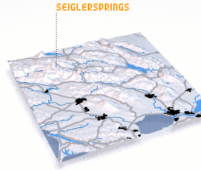 3d view of Seigler Springs