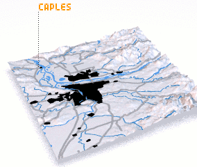 3d view of Caples