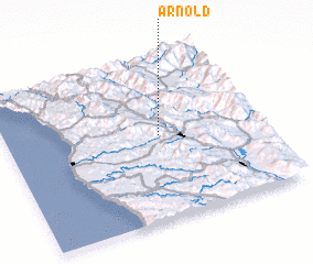 3d view of Arnold