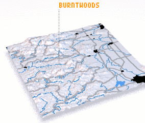 3d view of Burnt Woods