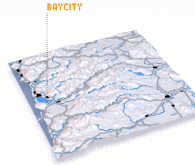 3d view of Bay City