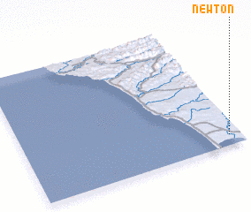 3d view of Newton