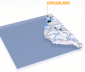 3d view of King Salmon