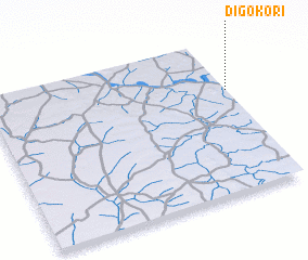 3d view of Digokori