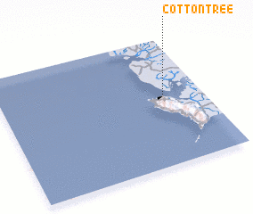 3d view of Cotton Tree