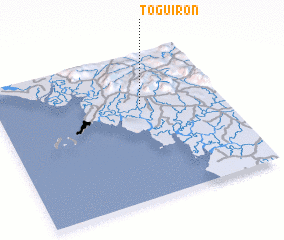 3d view of Toguiron