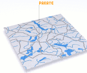 3d view of Pakaye
