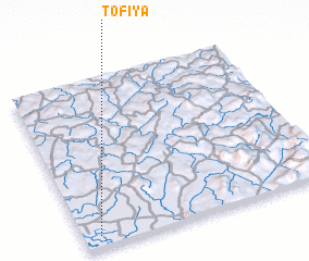 3d view of Tofiya