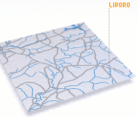 3d view of Liporo