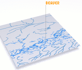 3d view of Beaver