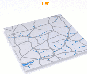 3d view of Tiom