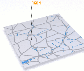 3d view of Ngom