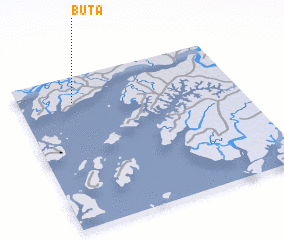 3d view of Buta