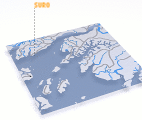 3d view of Suro