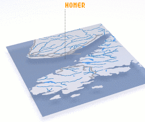 3d view of Homer