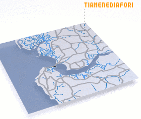 3d view of Tiamène Diafori