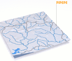 3d view of Pipepe