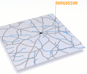 3d view of Nongossom