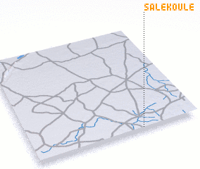 3d view of Salé Koulé