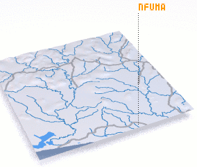 3d view of Nfuma