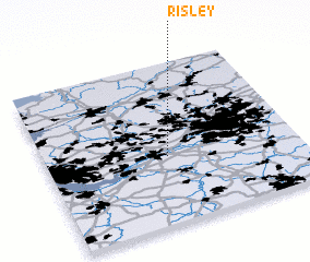 3d view of Risley