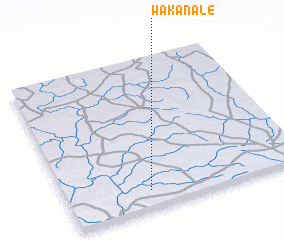 3d view of Wakanalé