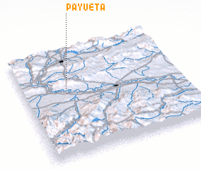 3d view of Payueta