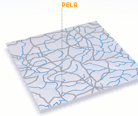 3d view of Pela