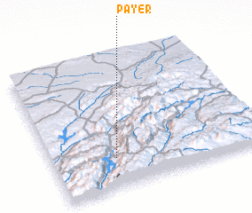 3d view of Payer