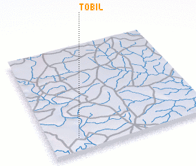 3d view of Tobil