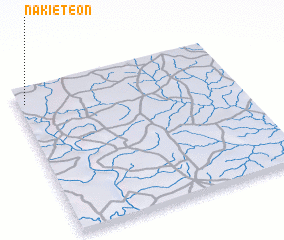 3d view of Nakiétéon