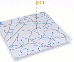 3d view of Didié