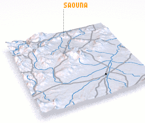 3d view of Saouna