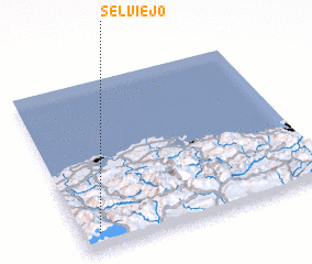 3d view of Selviejo