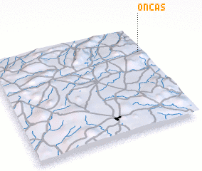 3d view of Onças