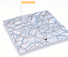 3d view of Capoeira