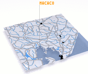 3d view of Macaco