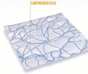 3d view of Capim Grosso