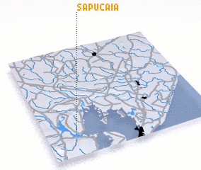 3d view of Sapucaia