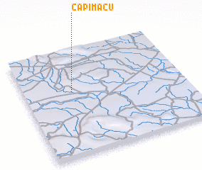 3d view of Capim Açu