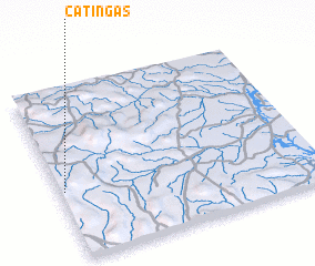 3d view of Catingas