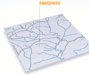 3d view of Saaguikro