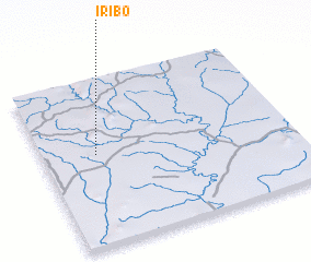 3d view of Iribo