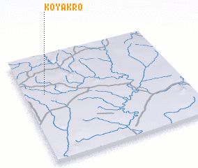 3d view of Koyakro