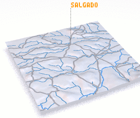 3d view of Salgado