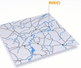 3d view of Murici