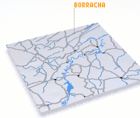 3d view of Borracha