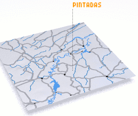 3d view of Pintadas