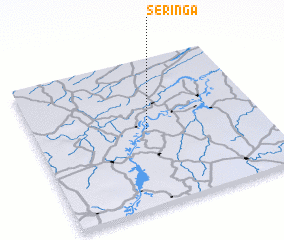 3d view of Seringa