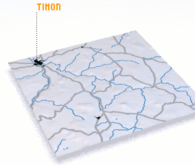 3d view of Timon